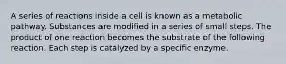 A series of reactions inside a cell is known as a metabolic pathway. Substances are modified in a series of small steps. The product of one reaction becomes the substrate of the following reaction. Each step is catalyzed by a specific enzyme.