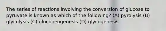 The series of reactions involving the conversion of glucose to pyruvate is known as which of the following? (A) pyrolysis (B) glycolysis (C) gluconeogenesis (D) glycogenesis