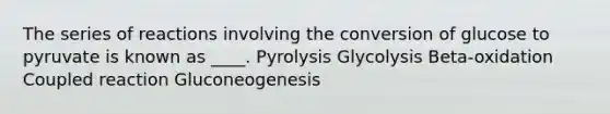 The series of reactions involving the conversion of glucose to pyruvate is known as ____. Pyrolysis Glycolysis Beta-oxidation Coupled reaction Gluconeogenesis