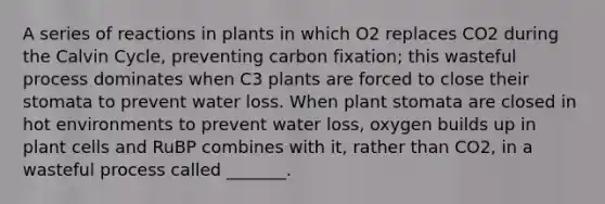 A series of reactions in plants in which O2 replaces CO2 during the Calvin Cycle, preventing carbon fixation; this wasteful process dominates when C3 plants are forced to close their stomata to prevent water loss. When plant stomata are closed in hot environments to prevent water loss, oxygen builds up in plant cells and RuBP combines with it, rather than CO2, in a wasteful process called _______.