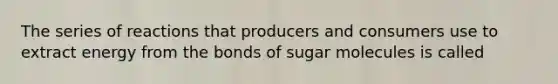 The series of reactions that producers and consumers use to extract energy from the bonds of sugar molecules is called