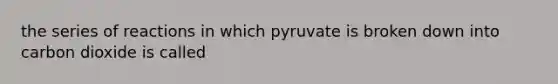 the series of reactions in which pyruvate is broken down into carbon dioxide is called