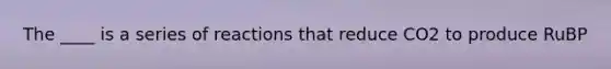 The ____ is a series of reactions that reduce CO2 to produce RuBP