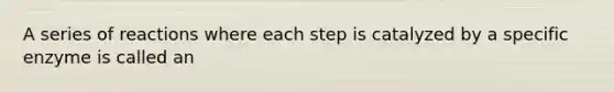 A series of reactions where each step is catalyzed by a specific enzyme is called an