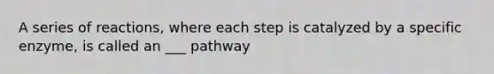 A series of reactions, where each step is catalyzed by a specific enzyme, is called an ___ pathway