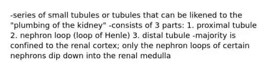 -series of small tubules or tubules that can be likened to the "plumbing of the kidney" -consists of 3 parts: 1. proximal tubule 2. nephron loop (loop of Henle) 3. distal tubule -majority is confined to the renal cortex; only the nephron loops of certain nephrons dip down into the renal medulla