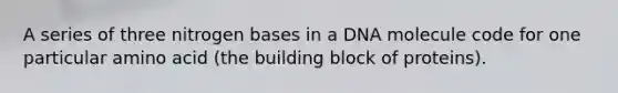 A series of three nitrogen bases in a DNA molecule code for one particular amino acid (the building block of proteins).