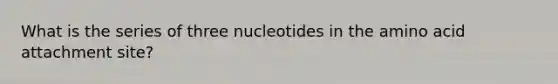 What is the series of three nucleotides in the amino acid attachment site?