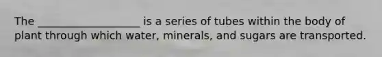 The ___________________ is a series of tubes within the body of plant through which water, minerals, and sugars are transported.