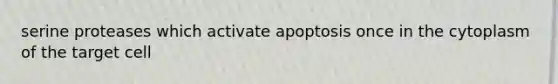 serine proteases which activate apoptosis once in the cytoplasm of the target cell