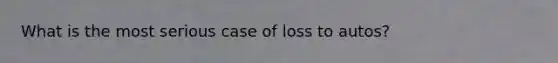 What is the most serious case of loss to autos?