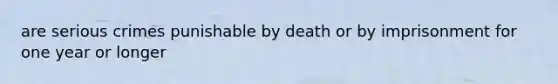 are serious crimes punishable by death or by imprisonment for one year or longer