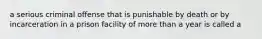 a serious criminal offense that is punishable by death or by incarceration in a prison facility of more than a year is called a