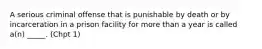 A serious criminal offense that is punishable by death or by incarceration in a prison facility for more than a year is called a(n) _____. (Chpt 1)