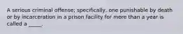 A serious criminal offense; specifically, one punishable by death or by incarceration in a prison facility for more than a year is called a _____.