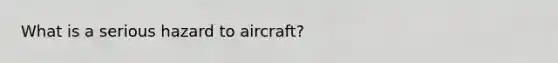 What is a serious hazard to aircraft?