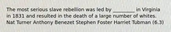 The most serious slave rebellion was led by _________ in Virginia in 1831 and resulted in the death of a large number of whites. Nat Turner Anthony Benezet Stephen Foster Harriet Tubman (6.3)