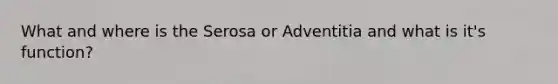 What and where is the Serosa or Adventitia and what is it's function?