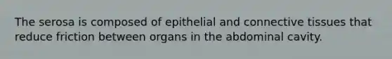 The serosa is composed of epithelial and connective tissues that reduce friction between organs in the abdominal cavity.