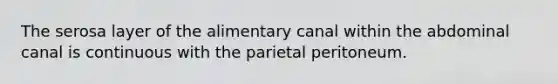 The serosa layer of the alimentary canal within the abdominal canal is continuous with the parietal peritoneum.