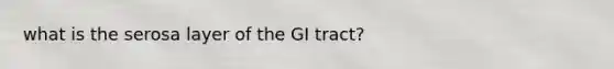 what is the serosa layer of the GI tract?