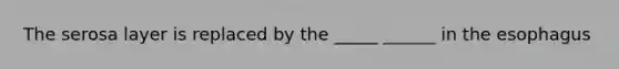 The serosa layer is replaced by the _____ ______ in the esophagus