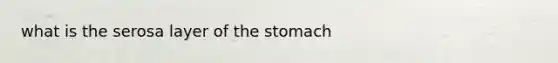 what is the serosa layer of <a href='https://www.questionai.com/knowledge/kLccSGjkt8-the-stomach' class='anchor-knowledge'>the stomach</a>