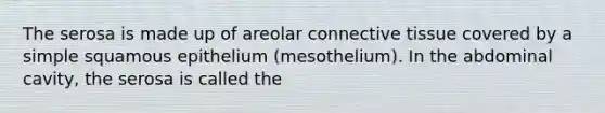 The serosa is made up of areolar connective tissue covered by a simple squamous epithelium (mesothelium). In the abdominal cavity, the serosa is called the