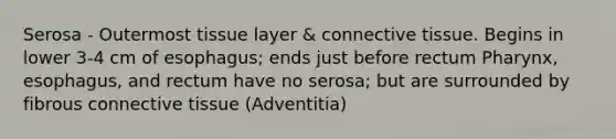 Serosa - Outermost tissue layer & connective tissue. Begins in lower 3-4 cm of esophagus; ends just before rectum Pharynx, esophagus, and rectum have no serosa; but are surrounded by fibrous connective tissue (Adventitia)