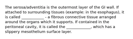 The serosa/adventitia is the outermost layer of the GI wall. If attached to surrounding tissues (example: in the esophagus), it is called ____________ - a fibrous connective tissue arranged around the organs which it supports. If contained in the peritoneal cavity, it is called the _____________, which has a slippery mesothelium surface layer.