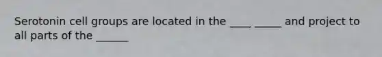 Serotonin cell groups are located in the ____ _____ and project to all parts of the ______