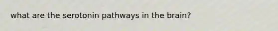what are the serotonin pathways in <a href='https://www.questionai.com/knowledge/kLMtJeqKp6-the-brain' class='anchor-knowledge'>the brain</a>?