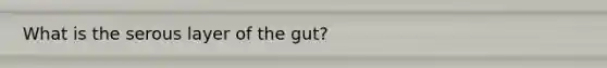 What is the serous layer of the gut?