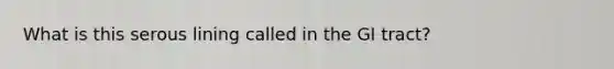 What is this serous lining called in the GI tract?