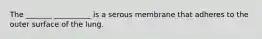 The _______ __________ is a serous membrane that adheres to the outer surface of the lung.