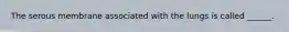 The serous membrane associated with the lungs is called ______.