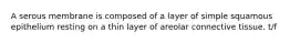 A serous membrane is composed of a layer of simple squamous epithelium resting on a thin layer of areolar connective tissue. t/f