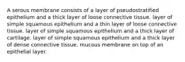 A serous membrane consists of a layer of pseudostratified epithelium and a thick layer of loose connective tissue. layer of simple squamous epithelium and a thin layer of loose connective tissue. layer of simple squamous epithelium and a thick layer of cartilage. layer of simple squamous epithelium and a thick layer of dense connective tissue. mucous membrane on top of an epithelial layer.