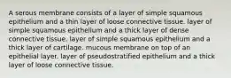 A serous membrane consists of a layer of simple squamous epithelium and a thin layer of loose connective tissue. layer of simple squamous epithelium and a thick layer of dense connective tissue. layer of simple squamous epithelium and a thick layer of cartilage. mucous membrane on top of an epithelial layer. layer of pseudostratified epithelium and a thick layer of loose connective tissue.