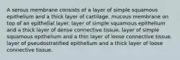 A serous membrane consists of a layer of simple squamous epithelium and a thick layer of cartilage. mucous membrane on top of an epithelial layer. layer of simple squamous epithelium and a thick layer of dense connective tissue. layer of simple squamous epithelium and a thin layer of loose connective tissue. layer of pseudostratified epithelium and a thick layer of loose connective tissue.