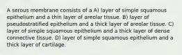 A serous membrane consists of a A) layer of simple squamous epithelium and a thin layer of areolar tissue. B) layer of pseudostratified epithelium and a thick layer of areolar tissue. C) layer of simple squamous epithelium and a thick layer of dense connective tissue. D) layer of simple squamous epithelium and a thick layer of cartilage.