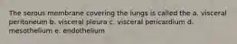 The serous membrane covering the lungs is called the a. visceral peritoneum b. visceral pleura c. visceral pericardium d. mesothelium e. endothelium