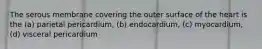 The serous membrane covering the outer surface of the heart is the (a) parietal pericardium, (b) endocardium, (c) myocardium, (d) visceral pericardium