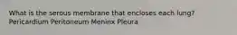 What is the serous membrane that encloses each lung? Pericardium Peritoneum Meninx Pleura