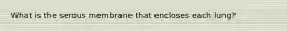 What is the serous membrane that encloses each lung?