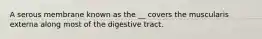 A serous membrane known as the __ covers the muscularis externa along most of the digestive tract.