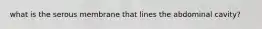 what is the serous membrane that lines the abdominal cavity?