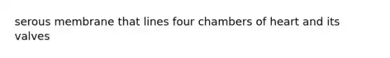 serous membrane that lines four chambers of heart and its valves