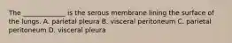 The _____________ is the serous membrane lining the surface of the lungs. A. parietal pleura B. visceral peritoneum C. parietal peritoneum D. visceral pleura