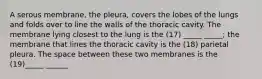 A serous membrane, the pleura, covers the lobes of the lungs and folds over to line the walls of the thoracic cavity. The membrane lying closest to the lung is the (17) _____ _____; the membrane that lines the thoracic cavity is the (18) parietal pleura. The space between these two membranes is the (19)_____ ______